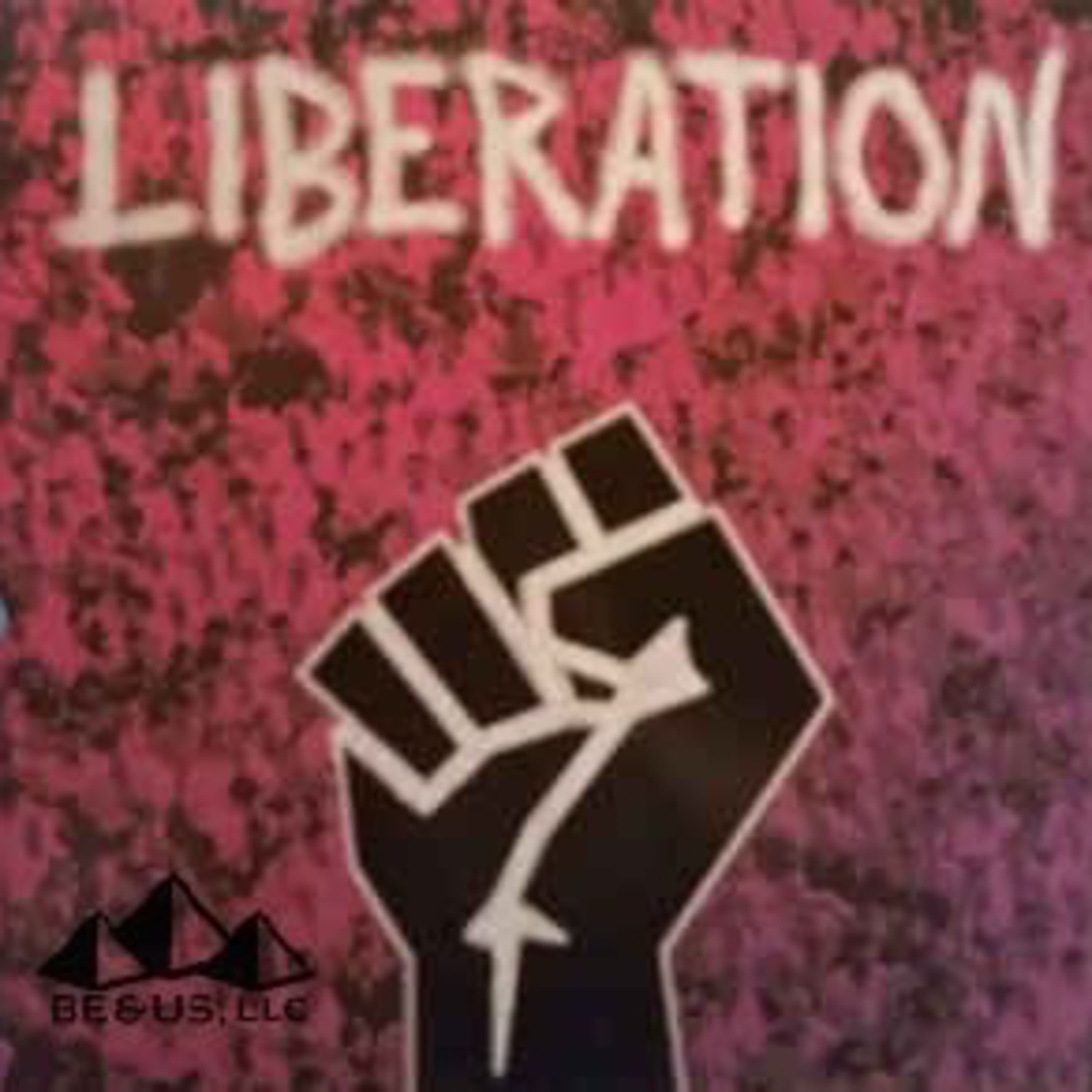 #ADOS I Want My Forty Acres And A Mule From America