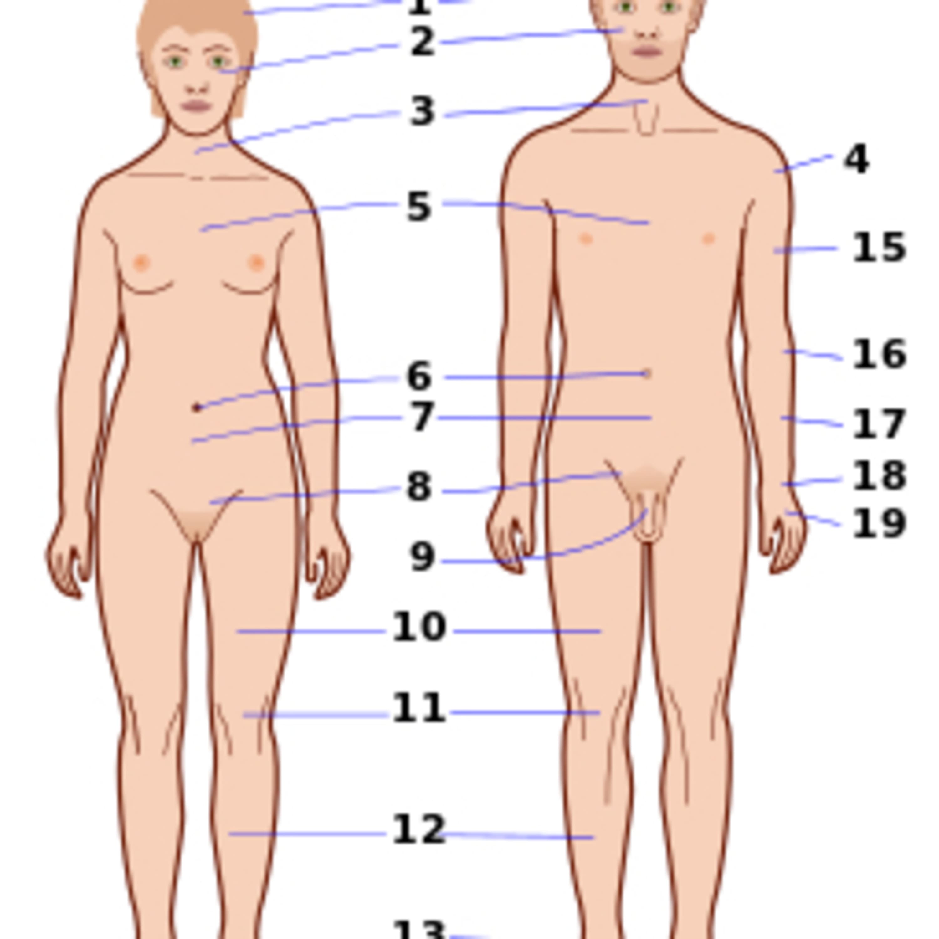 Spiritual & Emotional Pains Affect Your Bodies